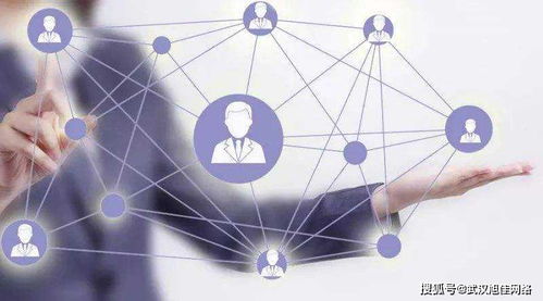 企業網站制作費用差異在哪里？深入解析互聯網上網服務的成本因素